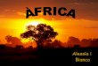 Àfrica: una mica de tot