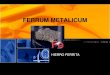 Ferrum metalicum