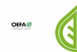 Función supervisora a las Entidades de Fiscalización Ambiental (EFA)