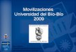 UBB - Cronograma Movilizaciones 2009