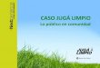 El caso Jug Limpio - (Ambiente y Espacio Pblico) - BAgobcamp 2012