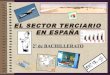 9. El  sector  terciario  en  España