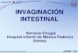8.  Intusucepción-Invaginación Intestinal pediatría