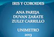 Iris coroides