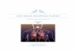 Sistema respiratorio - espirometria - flujometria - Histologia pulmonar