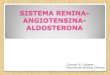 Eje renina -angiotensina-aldosteromna