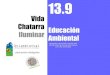 13.9 iluminar. vida_chatarra