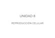 Unidad 8. reproducción celular