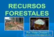 Tema 3. recursos forestales mundiales 2013