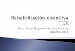 Rehabilitacion Cognitiva TCE
