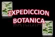 Expedicion botanica  2