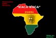 Waca waca (Africa)