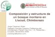 Composición y estructura de un bosque montano en Llucud, Chimborazo