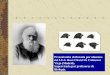 Teoría Evolutiva de Darwin