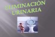 Eliminacion urinaria