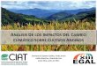Emmanuel ZC - EGAL 2011 - Evaluación de los impacto del CC sobre cultivos andinos