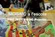 El mosaic a l'escola PROJECTES PDC PRÀCTIC 09-13