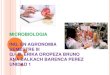 Microbiologia diapositivas unidad 1
