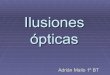 Ilusiones óPticas1