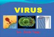 Clase 15-virologia