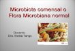 Clase 6-flora microbiana normal