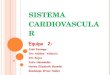 Sistema  cardiovascular