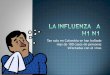 La Influenza   A H1 N1