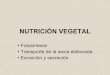 Fisiologia vegetal III: Nutrición