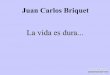 Juan Carlos Briquet - Humor - la vida es dura