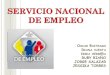Exposicion servicio nacional de empleo