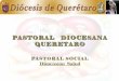 03. pastoral diocesana querétaro   p. alejandro gutiérrez