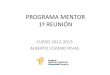 Programa mentor   copia