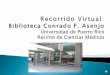 Recorrido Virtual Biblioteca RCM