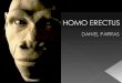 Homo erectus (A)