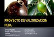 Proyecto de valorizacion de Perú, Brasil 2009