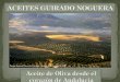 Presentation company aceites guirado noguera colombia2 (1) (3)