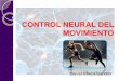 Control neural del movimiento