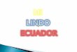 El ecuador estado gobierno y nacion