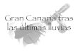 Gran Canaria Tras Las úLtimas Lluvias