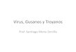 Virus,%20 gusanos%20y%20troyanos[1]