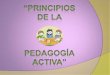 Principios de la pedagogia activa