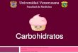 Carbohidratos: Digestión, absorción y utilización