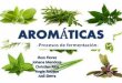 Plantas aromáticas y procesos de fermentación