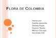 FLORA DE COLOMBIA