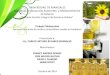 Presentación biodiesel