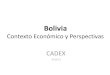 Bolivia  Contexto Económico y Perspectivas
