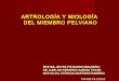 Artrología y miología del miembro pelviano
