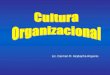 Presentacion de cultura organizacional
