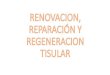 Renovacion, reparación y regeneracion tisular