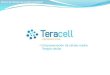 Introduccion diapositivas banco teracell group